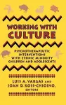 Working with Culture cover