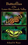 Butterflies of the Lower Rio Grande Valley cover