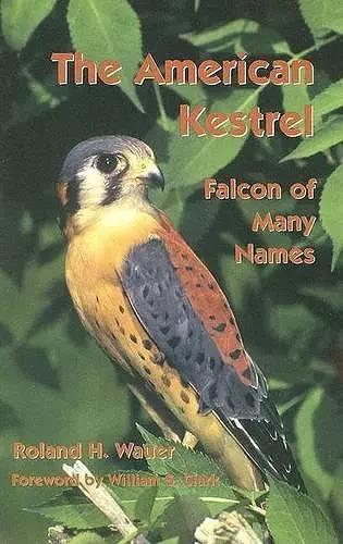 The American Kestrel cover