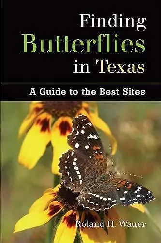 Finding Butterflies in Texas cover