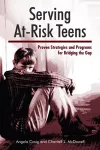 Serving At-Risk Teens cover