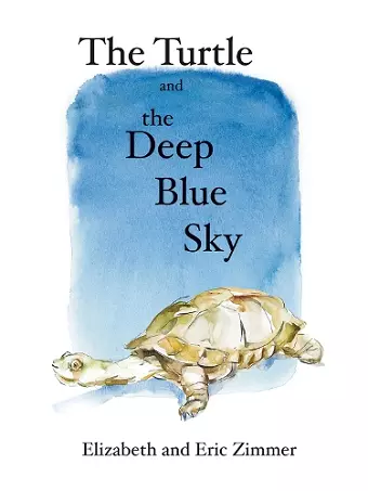 The Turtle and the Deep Blue Sky cover