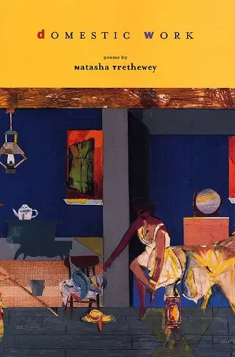 Domestic Work cover