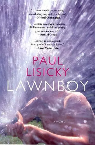 Lawnboy cover