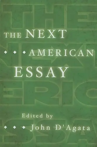 The Next American Essay cover