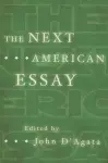 The Next American Essay cover