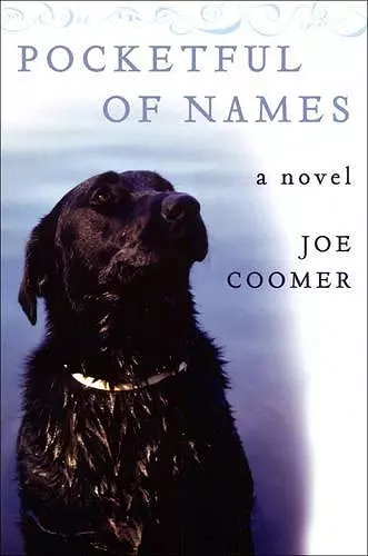 Pocketful Of Names cover