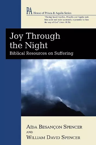 Joy Through the Night cover