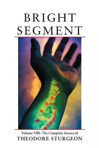 Bright Segment cover