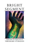 Bright Segment cover