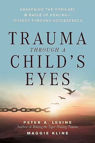 Trauma Through a Child's Eyes cover