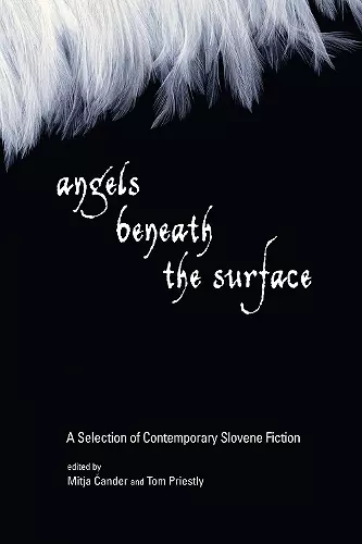 Angels Beneath the Surface cover