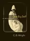 One Big Self cover