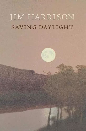Saving Daylight cover