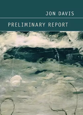 Preliminary Report cover