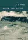 Preliminary Report cover