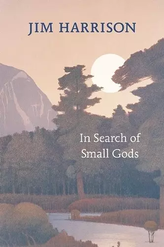 In Search of Small Gods cover