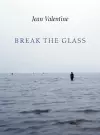 Break the Glass cover