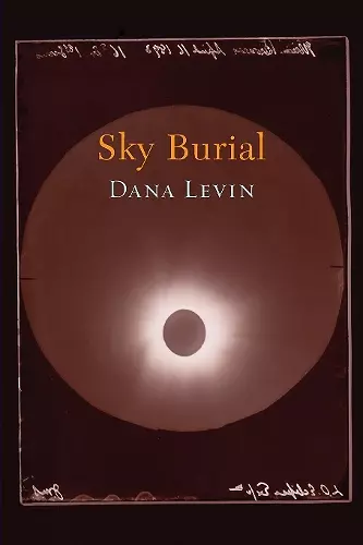 Sky Burial cover