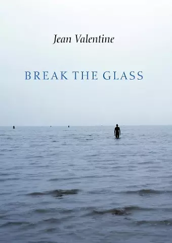 Break the Glass cover