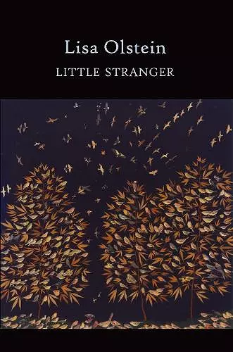 Little Stranger cover