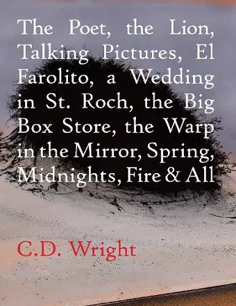 The Poet, The Lion, Talking Pictures, El Farolito, A Wedding in St. Roch, The Big Box Store, The Warp in the Mirror, Spring, Midnights, Fire & All cover