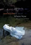 Where Now: New and Selected Poems cover