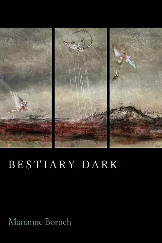 Bestiary Dark cover