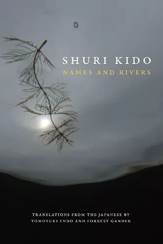 Names and Rivers cover