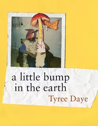 a little bump in the earth cover