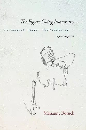 The Figure Going Imaginary cover