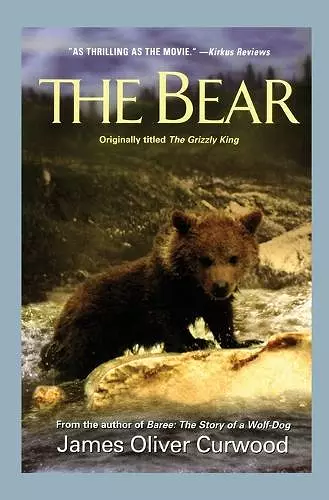 Bear cover