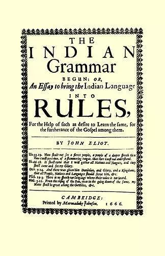 The Indian Grammar Begun cover