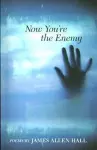 Now You're the Enemy cover