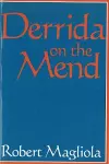 Derrida on the Mend cover