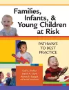 Families, Infants and Young Children at Risk cover