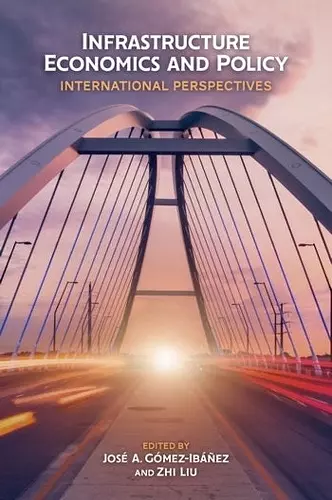 Infrastructure Economics and Policy – International Perspectives cover