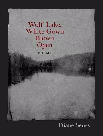 Wolf Lake, White Gown Blown Open cover