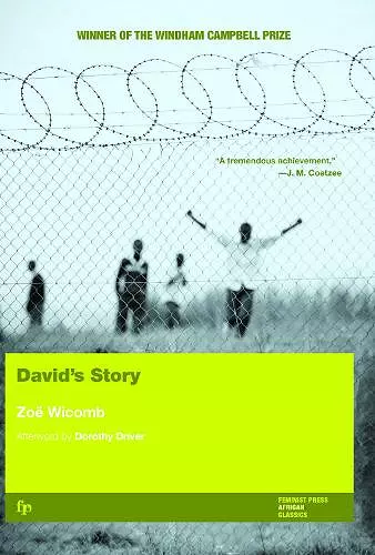David's Story cover