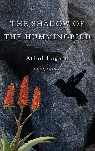 The Shadow of the Hummingbird cover