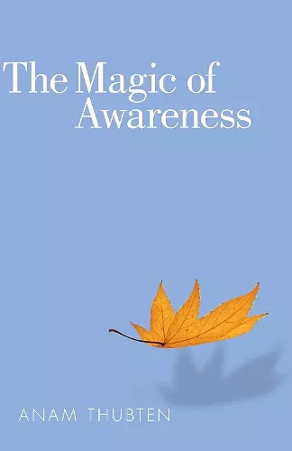 The Magic of Awareness cover