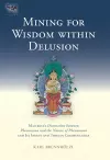 Mining for Wisdom within Delusion cover