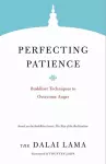 Perfecting Patience cover