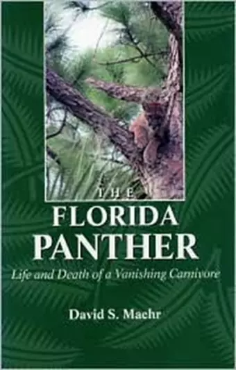 The Florida Panther cover