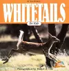 White Tails for Kids cover