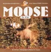 Moose for Kids cover