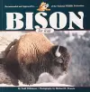 Bison for Kids cover