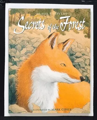 Secrets of the Forest cover