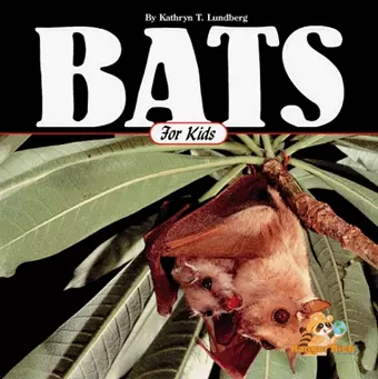 Bats for Kids cover