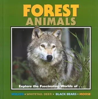 Forest Animals cover
